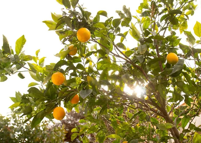 Hotel La Casetta Colorata