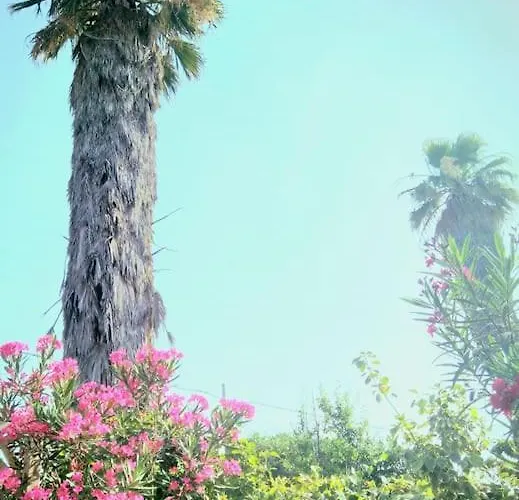 La Casetta Colorata Hotel Katania