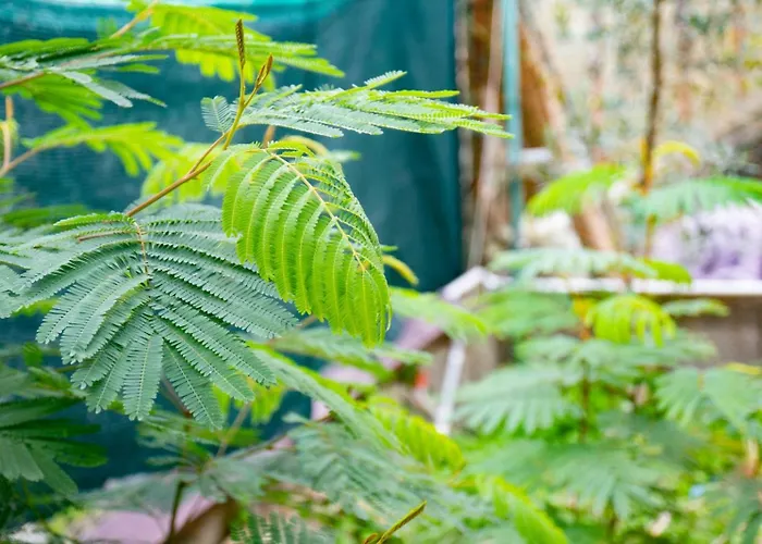 La Casetta Colorata Hotel